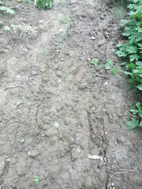 20170612_191913_1497239419730.jpg