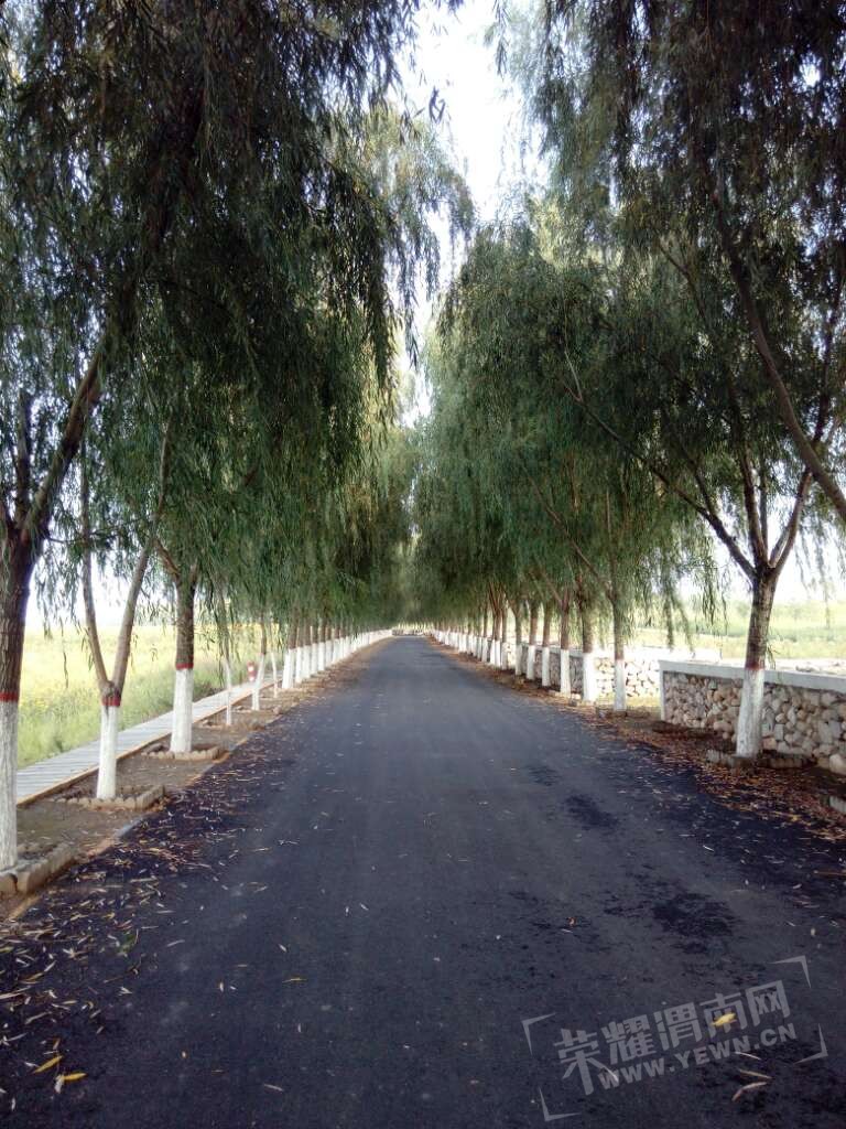 20170620_11136_1497972707571.jpg