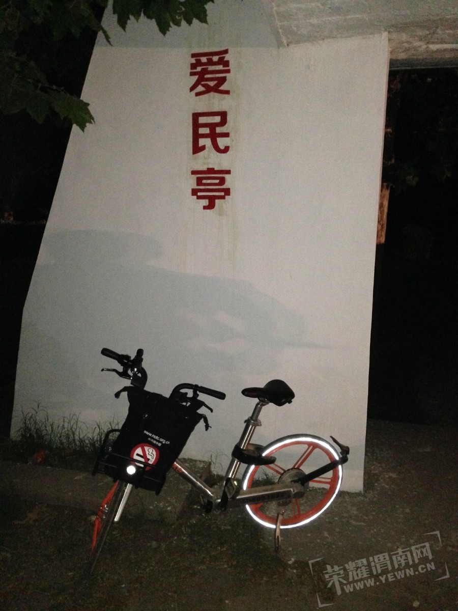 20170625_IMG_8774.JPG