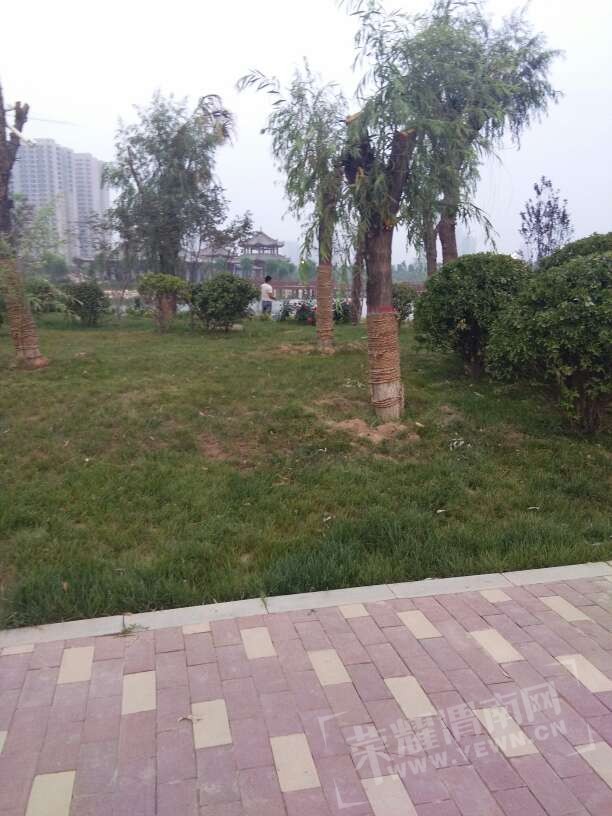 20170626_168633_1498434057162.jpg