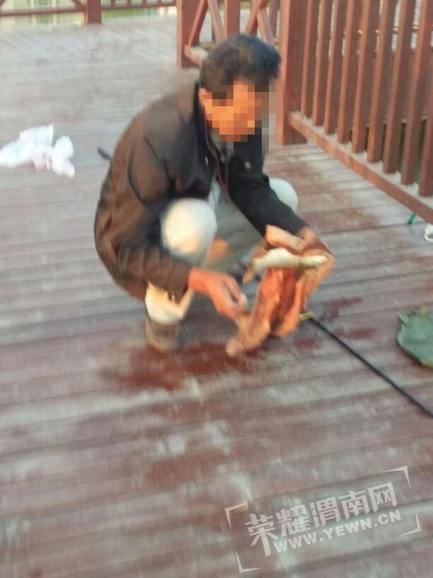 074212gqc2xcxzgcc22xx7.jpg
