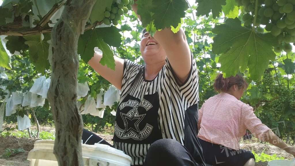 20170701_10126_1498876165325.jpg