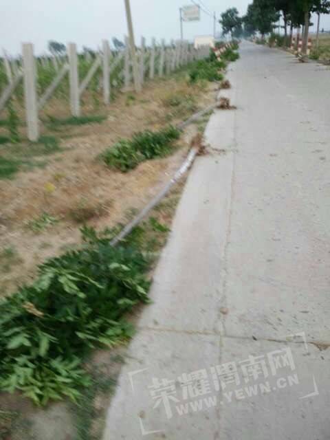 20170702_10126_1498950126242.jpg