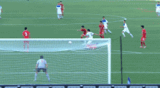 17.gif