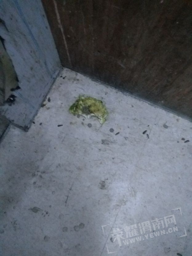 20170709_145862_1499608785801.jpg