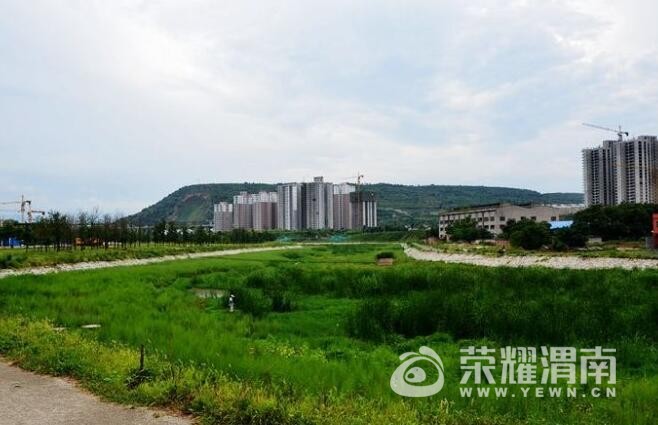 QQ��ͼ20170719094411.jpg