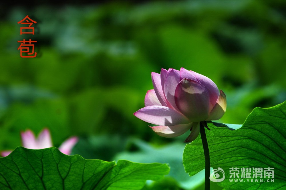 DSC_7927.jpg