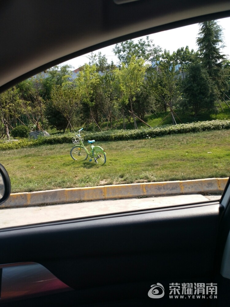 20170816_147292_1502852806273.jpg