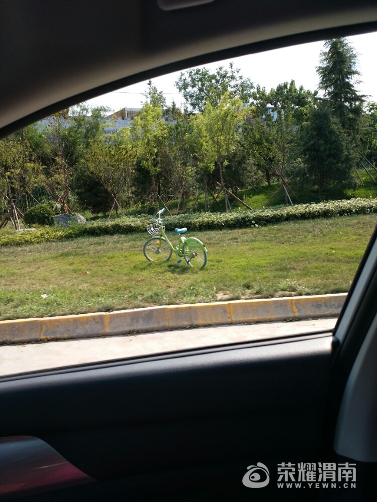20170816_147292_1502852805954.jpg