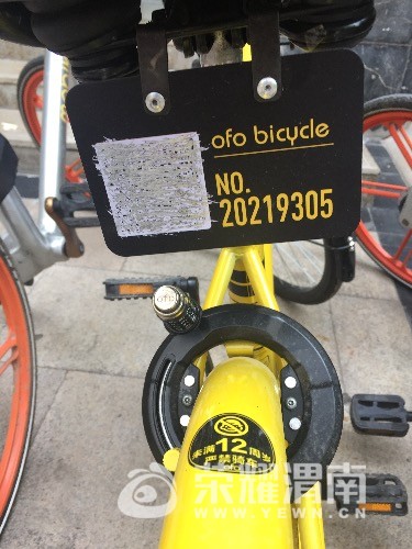IMG_2329.JPG