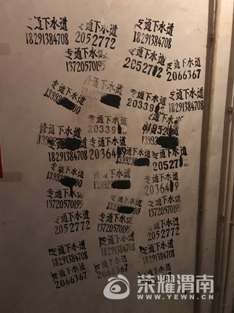 201709051954431504578184982447.jpg