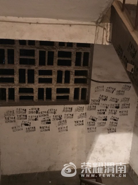 201709051954431504578185122827.jpg