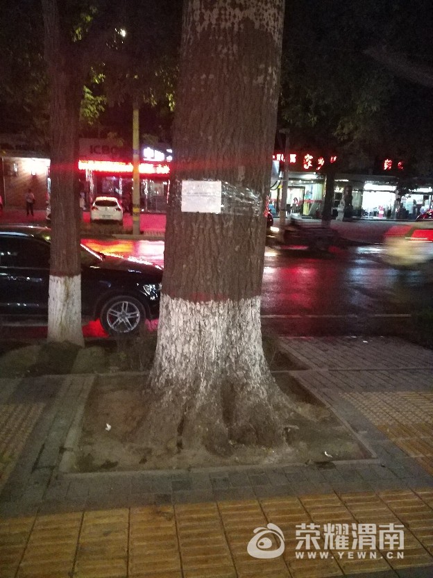 20170907_169758_1504784336606.jpg