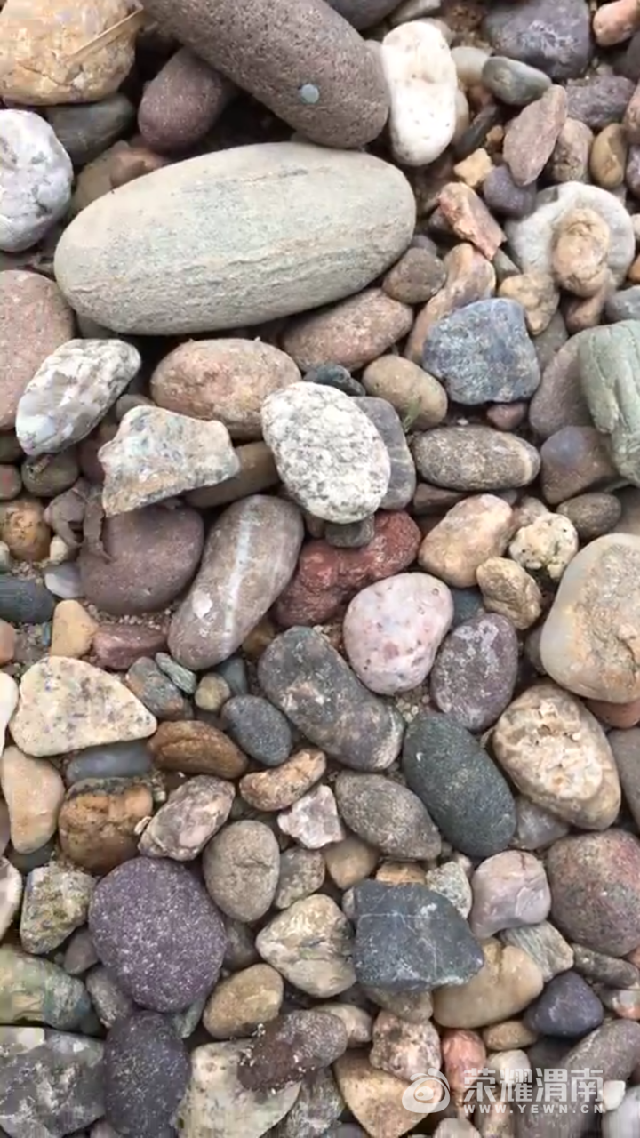 20171113_206482_1510550501052.png