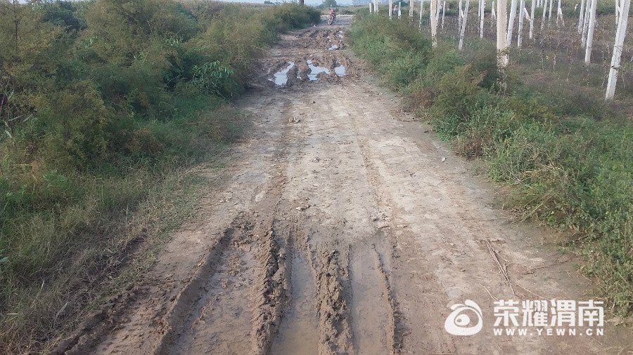 055413rt6qr82iquco6tpr.jpg
