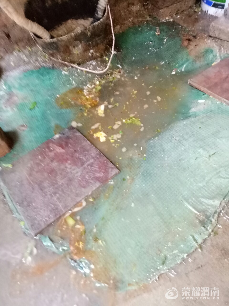 20171115_207571_1510730307988.jpg