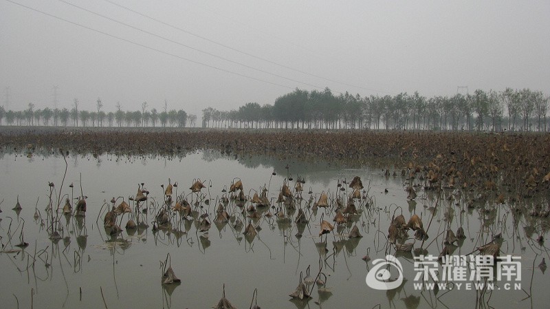 001.jpg