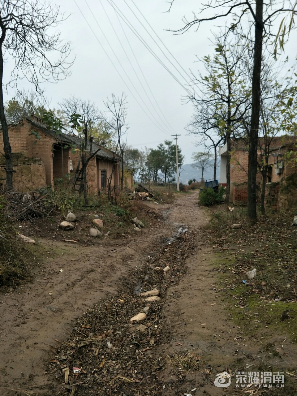 20171119_207112_1511083691829.jpg