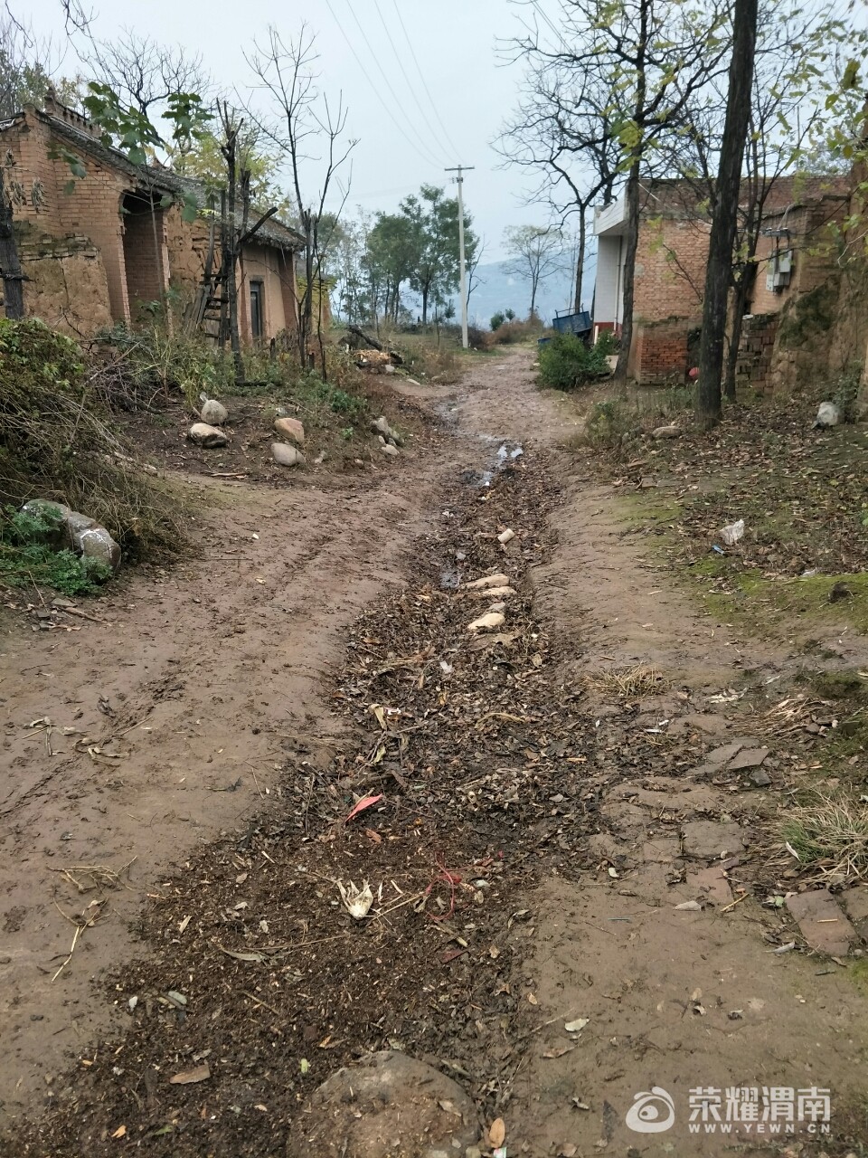 20171119_207112_1511083692562.jpg