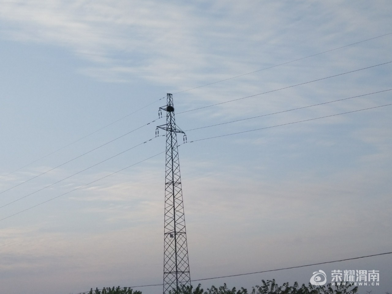 20171120_22583_1511168599061.jpg