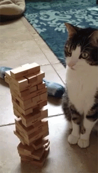 555.gif