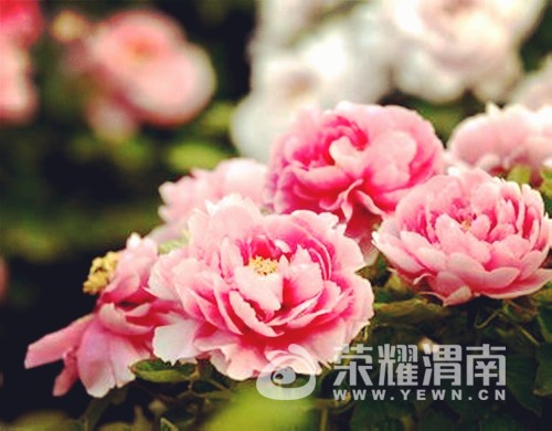 t0137aee525491b309b.jpg