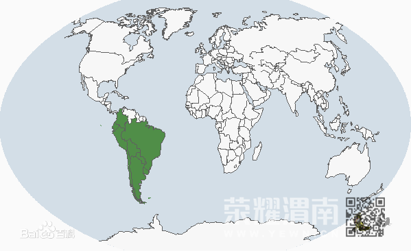 d0c8a786c9177f3e5b2d490c70cf3bc79f3d5691.jpg