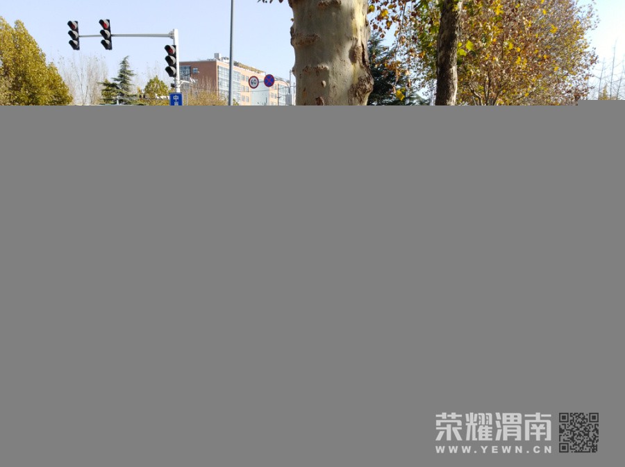 20171124.110356.jpg