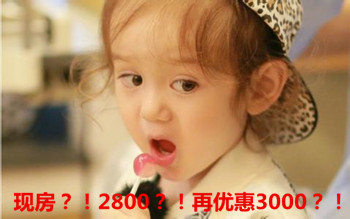 68a00d08c27b43638343288e192489ce_th_����.jpg