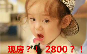 ͼƬ1.png