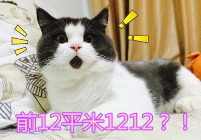 2014110219_0937ba503fa903f71f4aOpYWyqsQQHxY_����.jpg