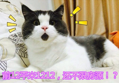 2014110219_0937ba503fa903f71f4aOpYWyqsQQHxY.jpg