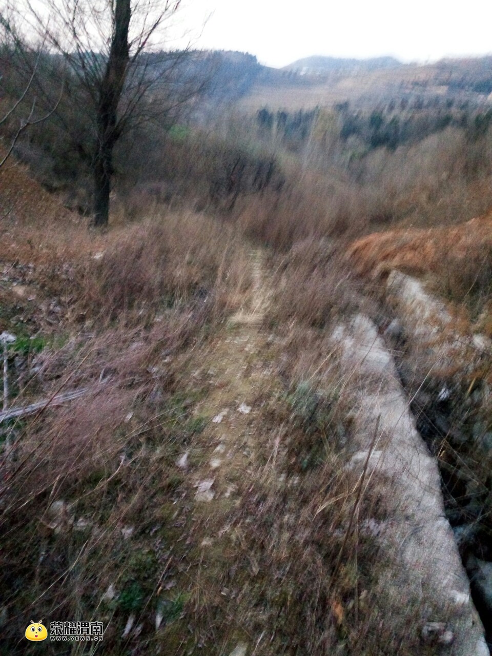 20171207_208739_1512640199913.jpg