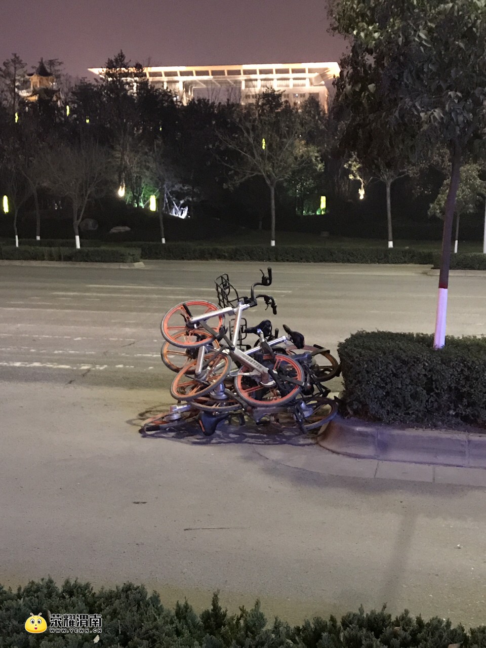 201712151121061513309197379516.jpg
