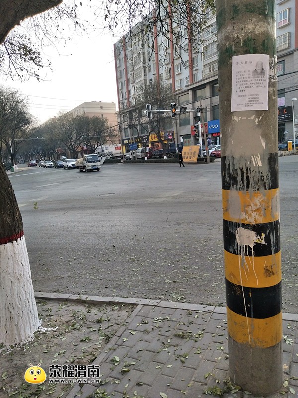 20171217_208184_1513505555957.jpg