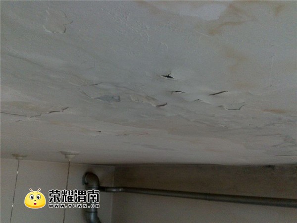 t017cac59bdff2f368e.jpg