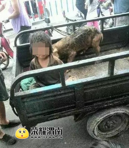 0.jpg