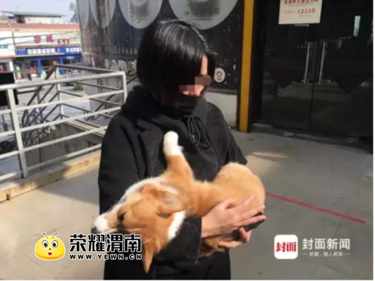 QQ��ͼ20180112165836.png