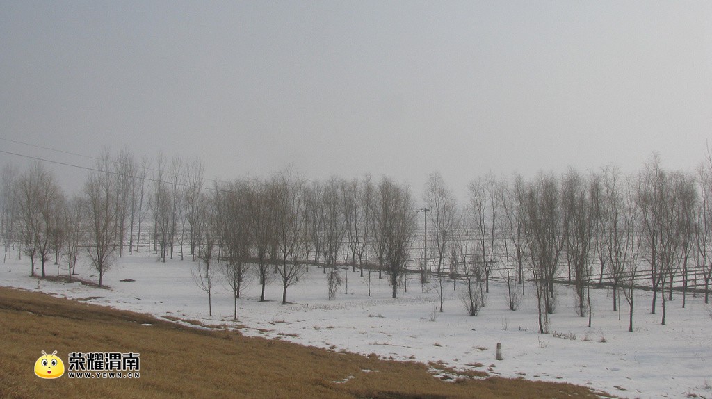 IMG_4663.jpg