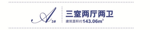 143.06_����.jpg