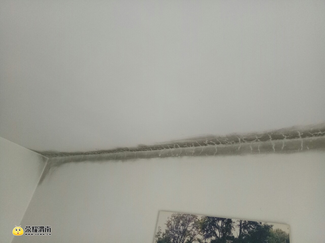 20180120_214462_1516432173092.jpg