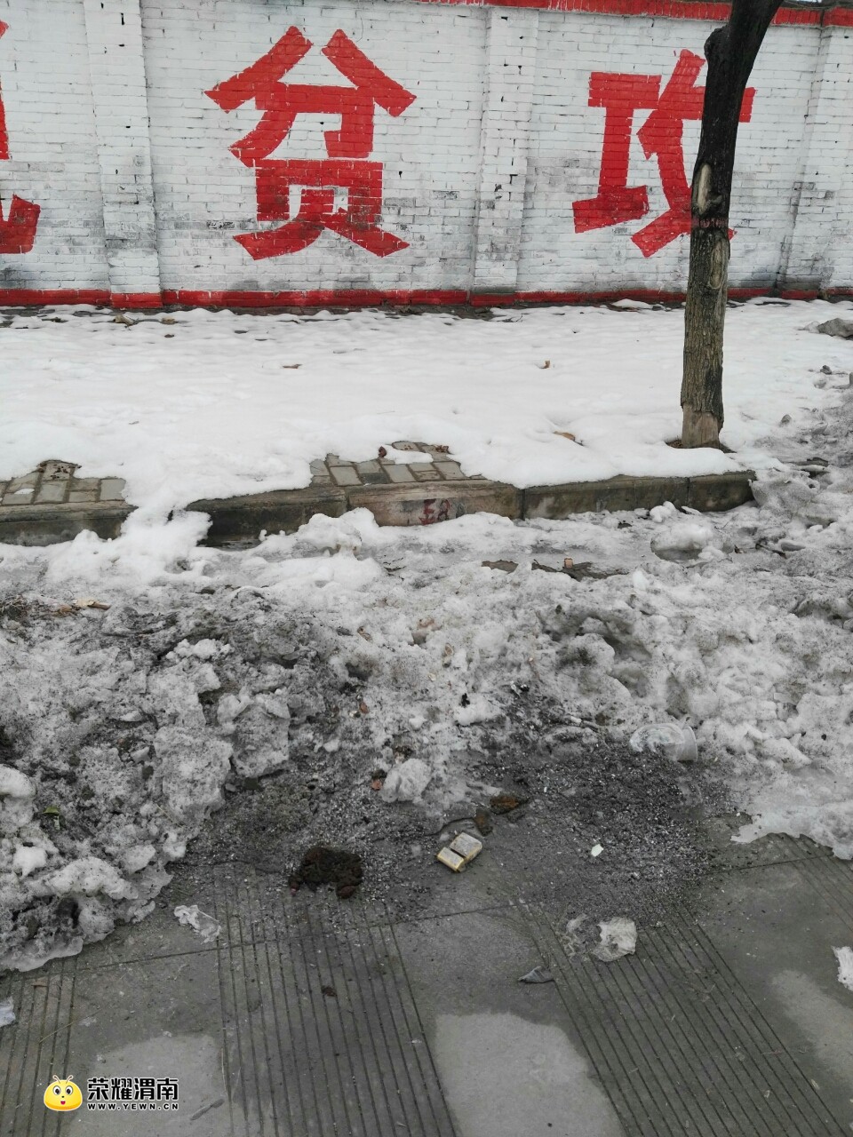 20180121_214517_1516497637021.jpg