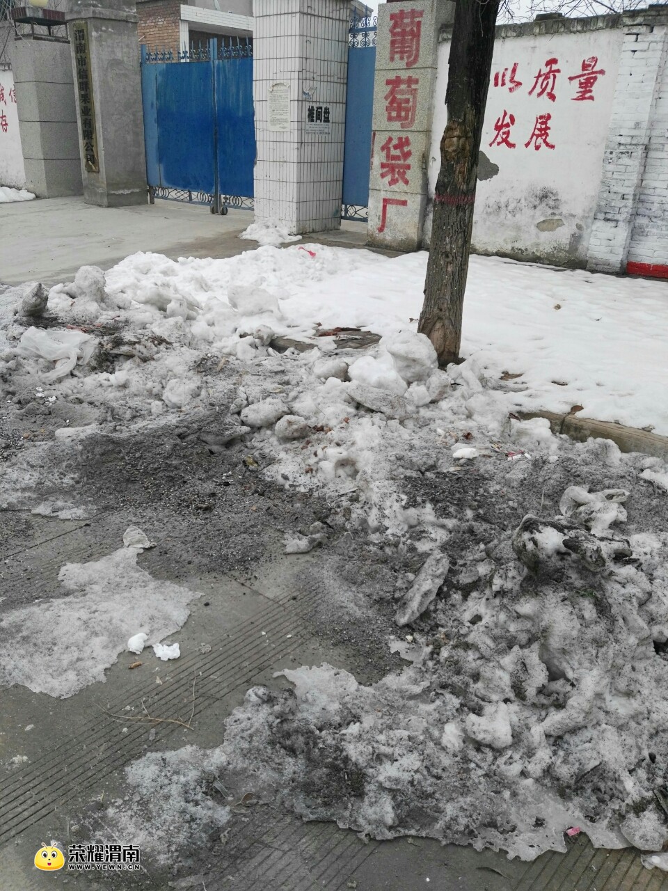 20180121_214517_1516497638055.jpg
