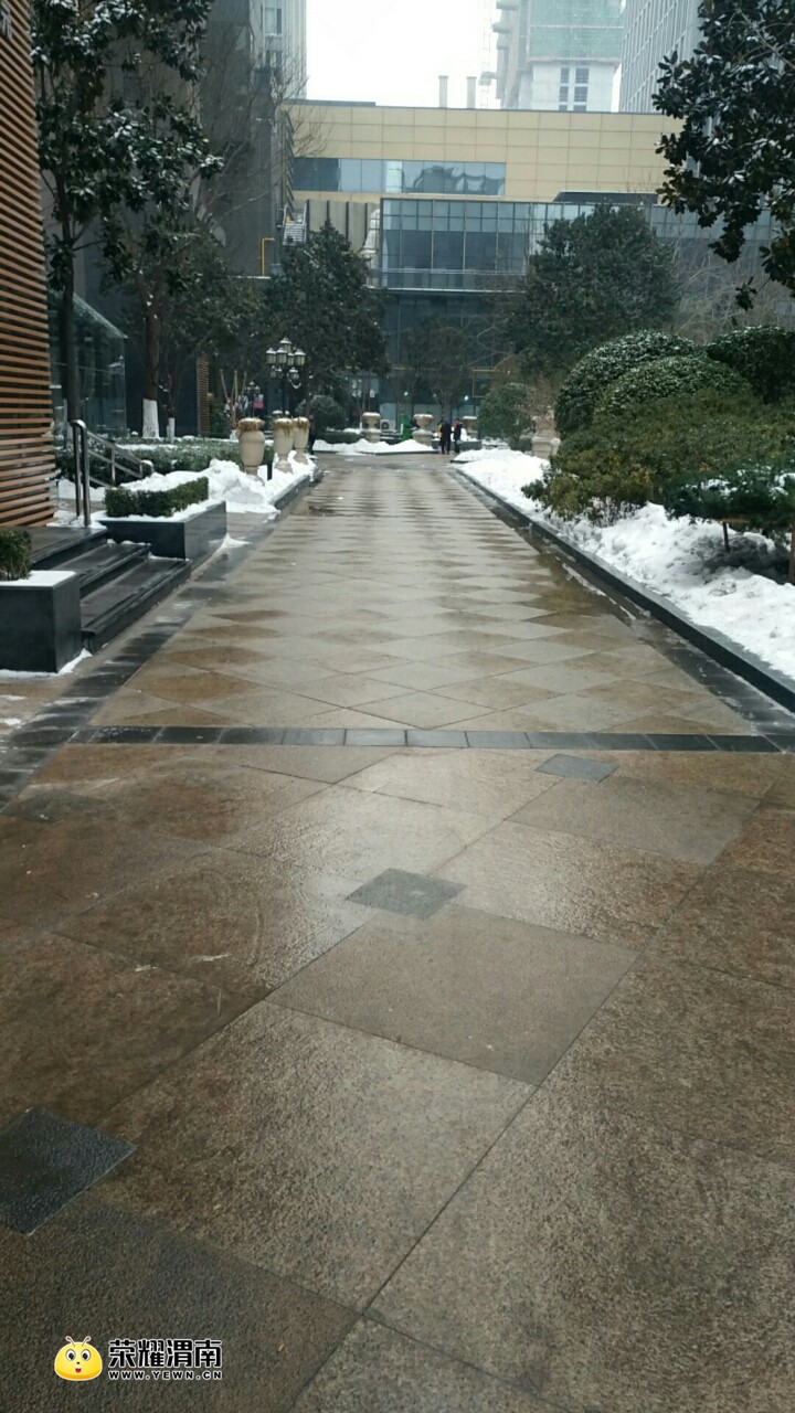 20180127_145347_1517042804952.jpg
