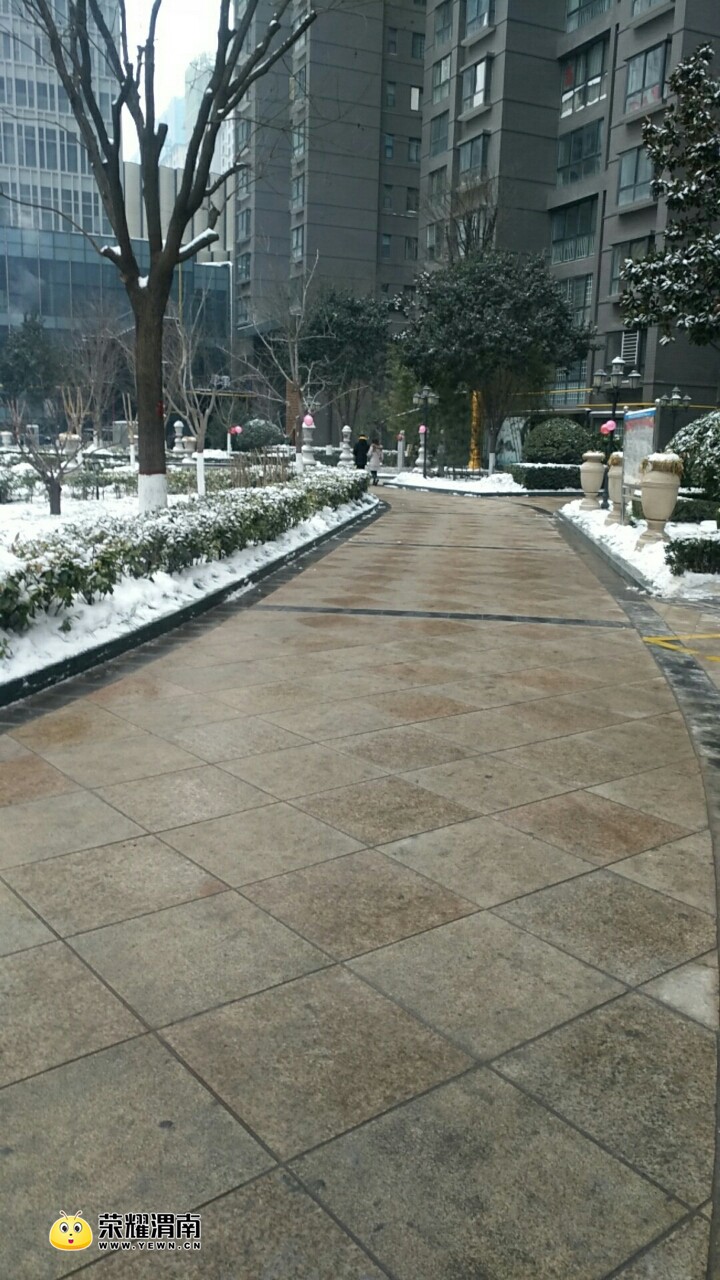 20180127_145347_1517042805547.jpg