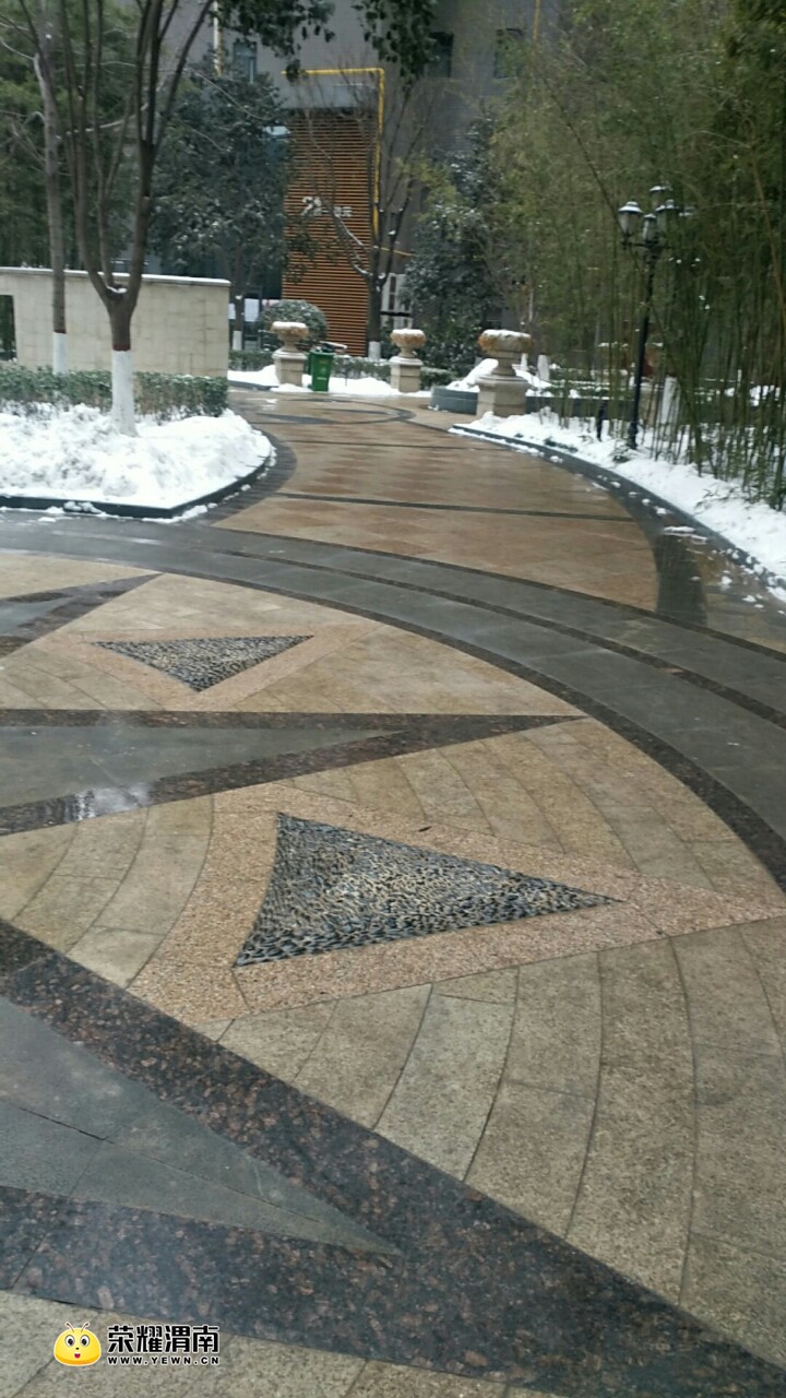 20180127_145347_1517042805395.jpg