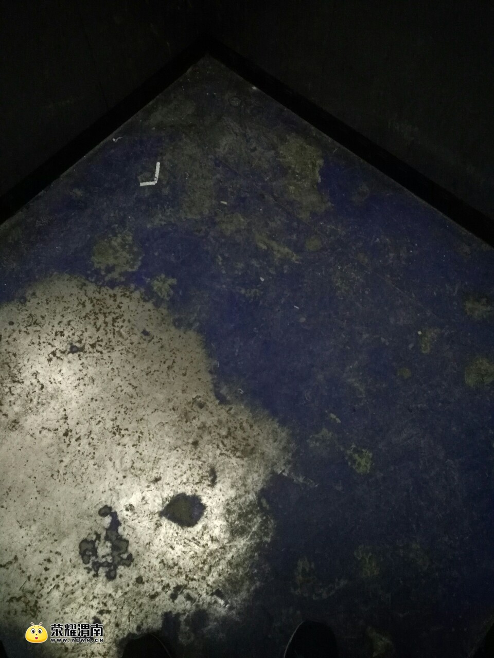 20180130_215232_1517304670456.jpg