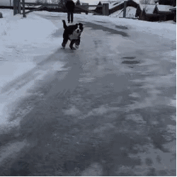 ΢��ͼƬ_20180130155627.gif