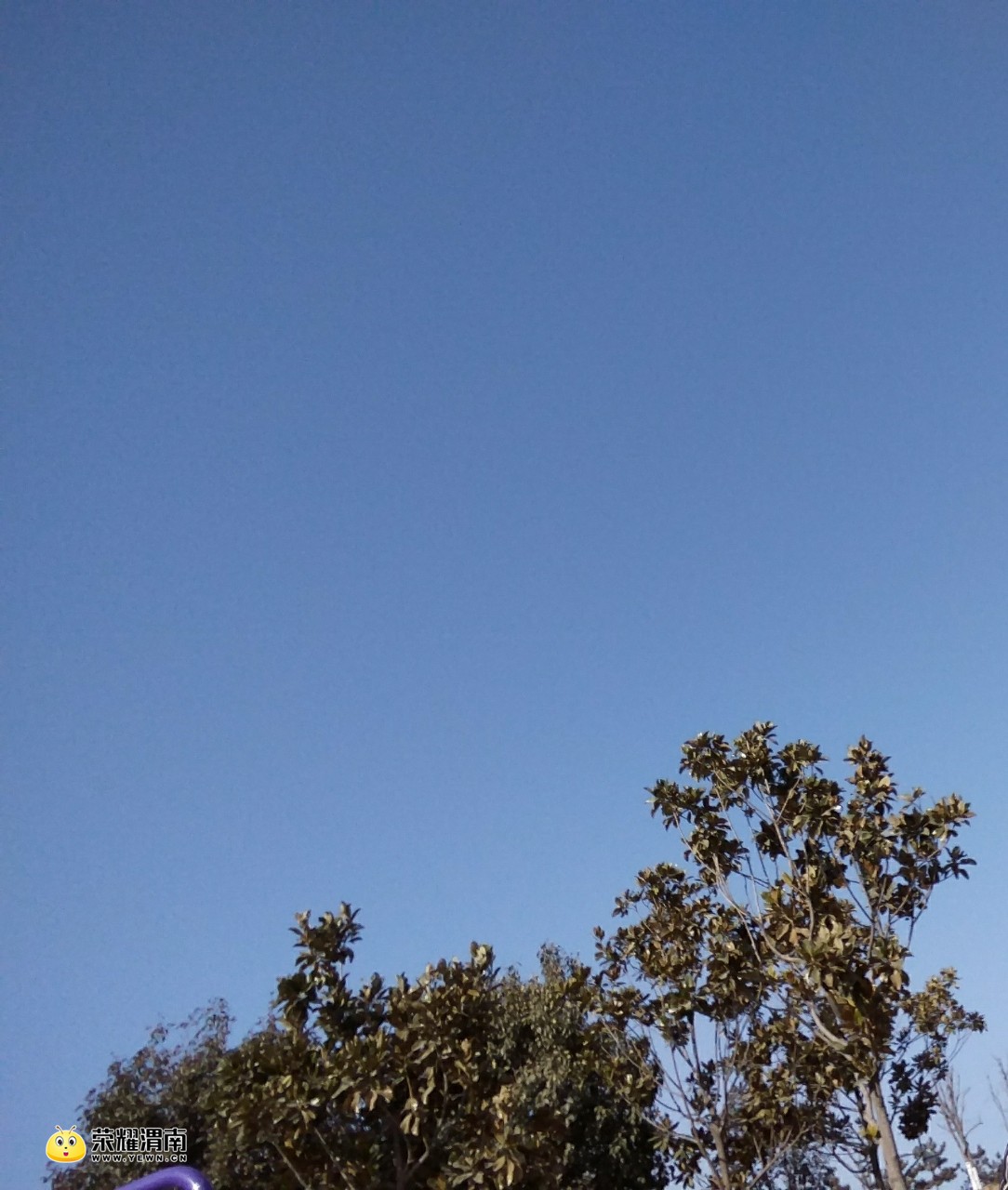 20180204_123807_1517749504277.jpg