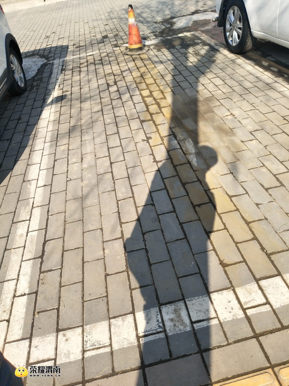 20180205_205889_1517813404478.jpg